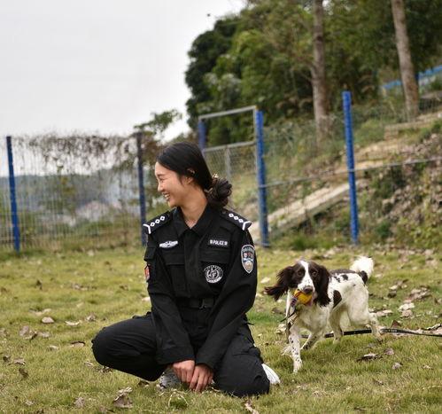 警花与警犬在线观看,热血追踪，守护平安的忠诚伴侣